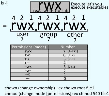 chmod execute permission.